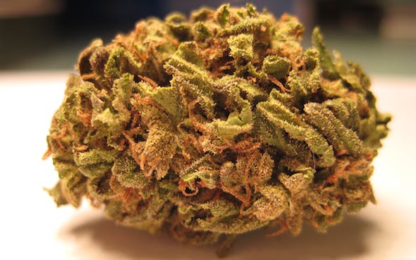 Maui Wowie cannabis strain