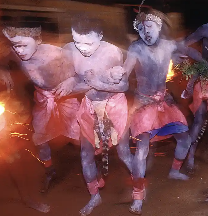 Ibogaine is consumed by African tribes