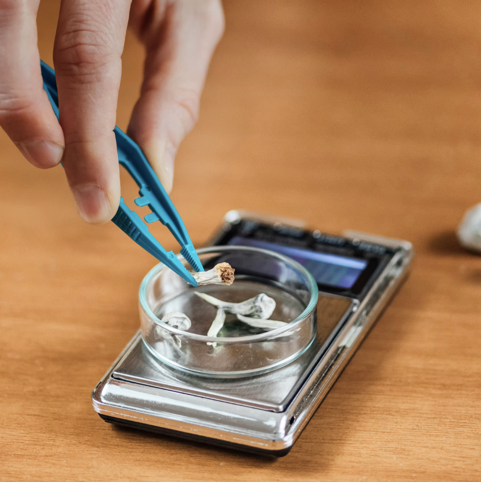 Use a scale to weigh your magic mushrooms