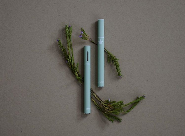 Wildflower’s CBD+ Immunity Vape Pen