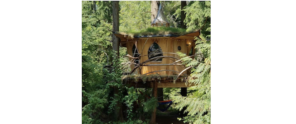 cannabis-friendly-mountain-view-treehouses